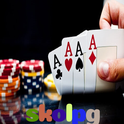  skolpg