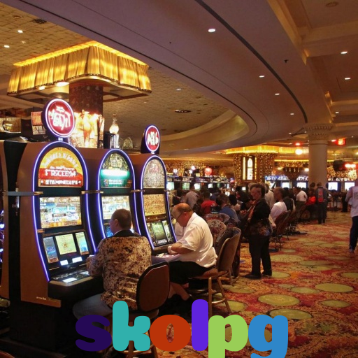  skolpg