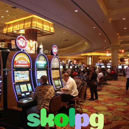  skolpg