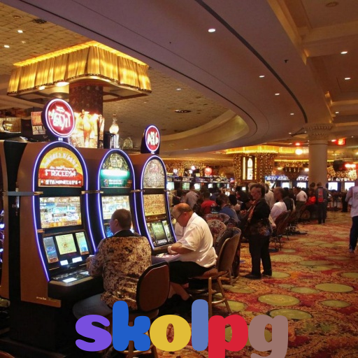  skolpg