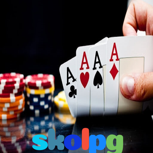  skolpg
