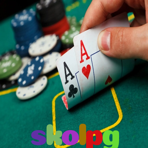  skolpg