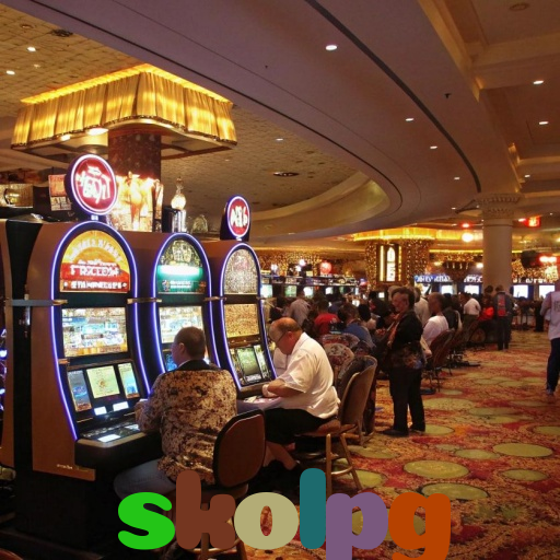  skolpg
