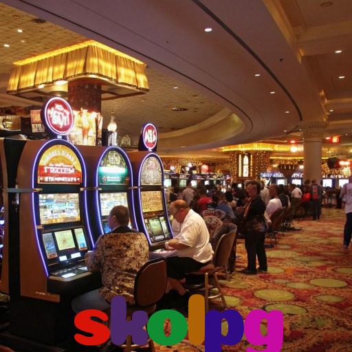 skolpg