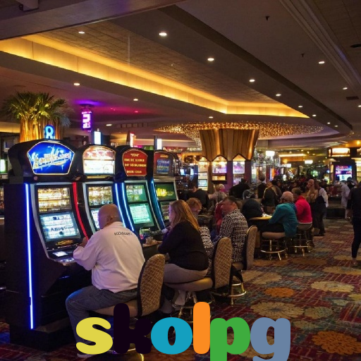  skolpg