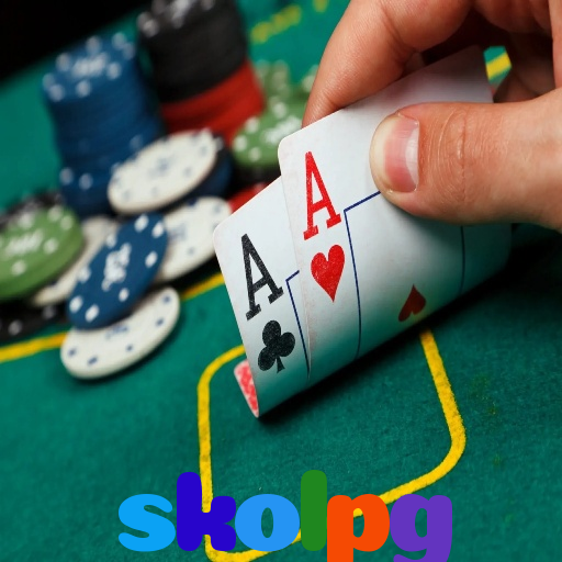  skolpg