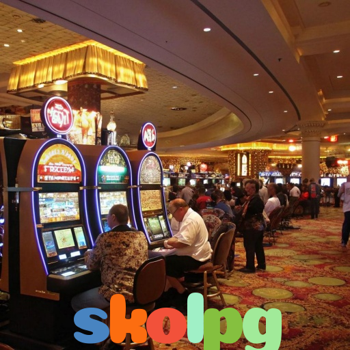  skolpg