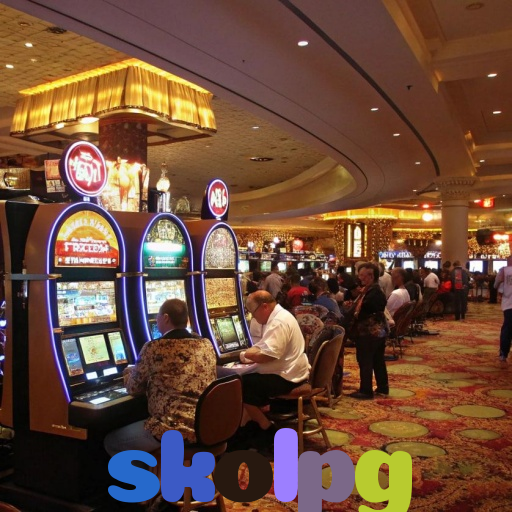  skolpg