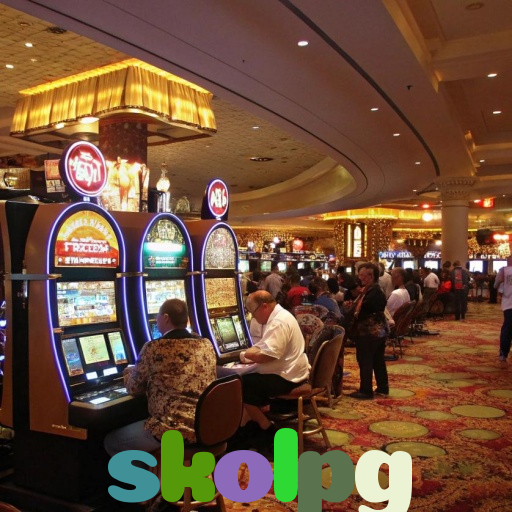 skolpg