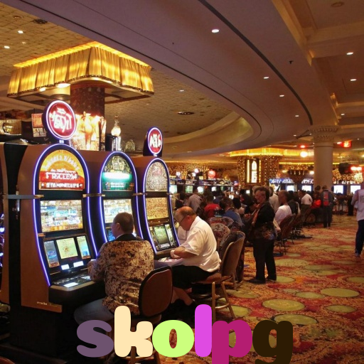  skolpg