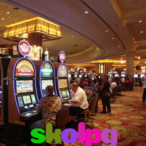  skolpg