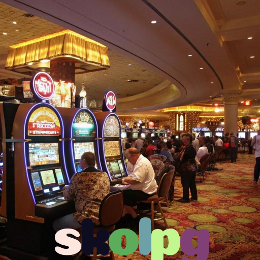  skolpg