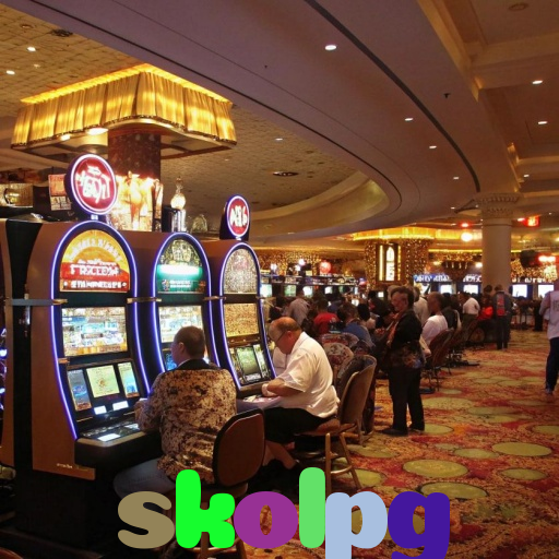  skolpg